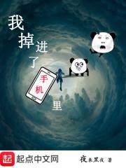 我的手机掉到里边怎么写