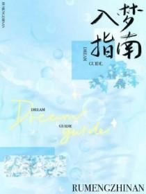 入梦指南岁旺