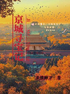北京寻宝记动画片全集