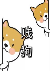 贱狗训练