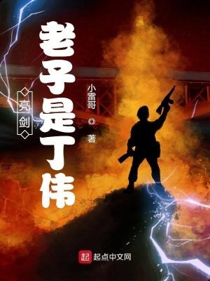 亮剑老子是丁伟全文阅读