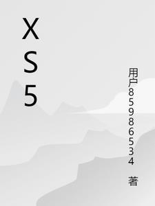 Xs500摩托车