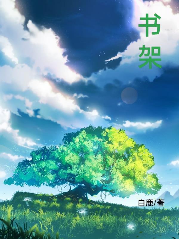 书架图片大全