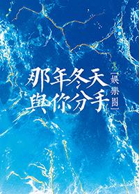 那年冬天歌词是什么意思