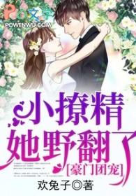 豪门小团子的