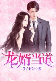 龙婿当道全文免费阅读叶辰