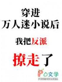 穿进万人迷文后人设崩了