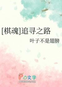找到棋魂
