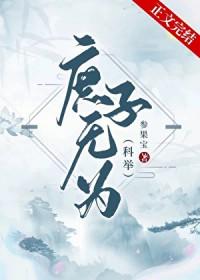 庶子无为科举txt百度