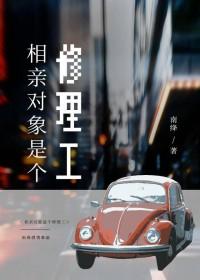 相亲对象是修理工林诗音笔趣阁