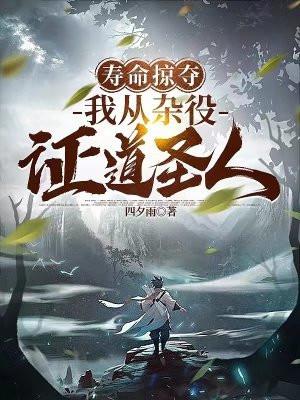 我从杂役证道圣人