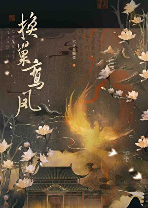 换巢鸾凤无错误版