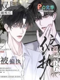 双腿瘫痪男主