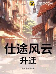 仕途风云笔趣阁