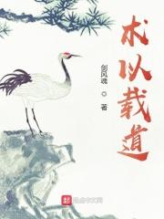 术以载道软件过程改进实践指南 PDF