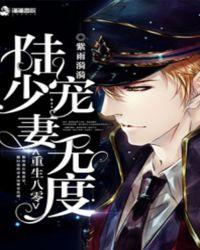重生八零：陆少宠妻无度