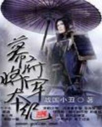 幕府将军本纪
