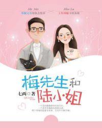 梅先生和陆小姐