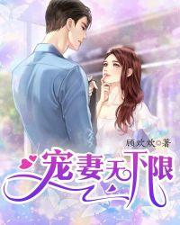 宠妻无下限
