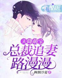 总裁追妻路漫漫