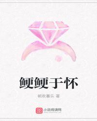 鲠鲠于怀